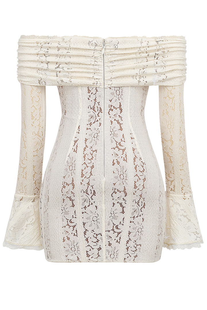L&A | Anaya Lace Mini Dress