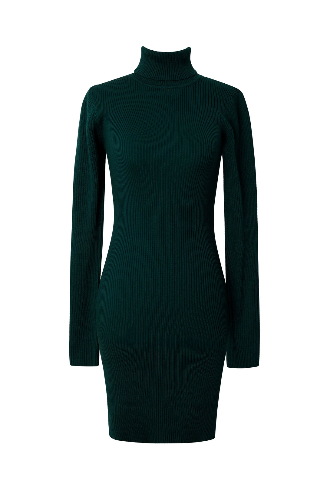 L&A | Verona Luxe Turtleneck Mini Dress